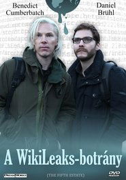 A WikiLeaks-botrány (2013)