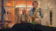 Dog Gone