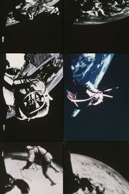 Great Society poster