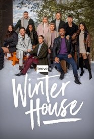 Winter House постер