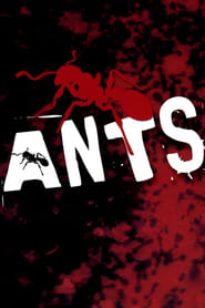 Ants постер