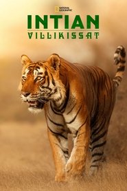 Intian villikissat