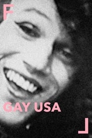 Gay USA постер