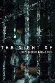 The Night of - Cosa è successo quella notte? (2016)