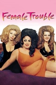 Female Trouble постер