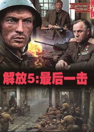 解放5：最后一击