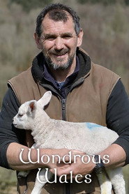 Wondrous Wales (2021)
