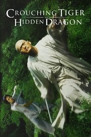 Crouching Tiger Hidden Dragon 2000 Movie BluRay Chinese Hindi ESubs 480p 720p 1080p