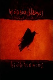Les oiseaux blancs, les oiseaux noirs (2003)