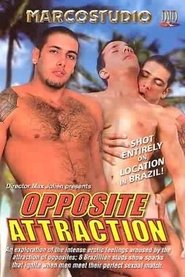 Opposite Attraction Poster