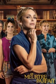 Poster for Un meurtre (presque) parfait