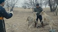 Animality 2025 Безплатен неограничен достъп
