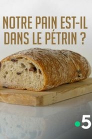 Poster Notre pain est-il dans le pétrin ? 2017
