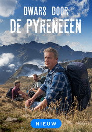 Dwars Door de Pyreneeën постер