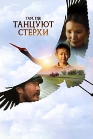 Where the Siberian Cranes Dance 2024