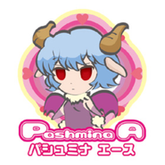 Logo for Pashmina Ace