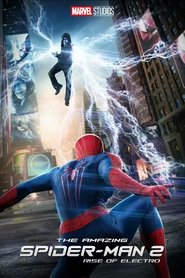 The Amazing Spider-Man 2 (2014)