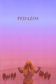 Pedazos