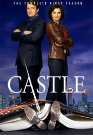 Castle: Sezon 1