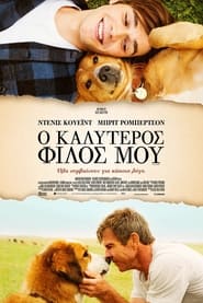 Ο Καλύτερος Φίλος Μου (2017)