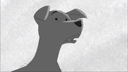 The Dog