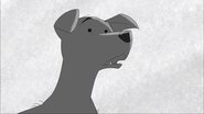 Poster The Dog 2017