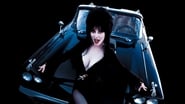 Elvira, maîtresse des ténèbres en streaming
