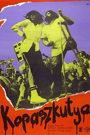 Poster Bald Dog Rock 1981