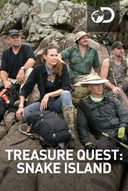 Treasure Quest: Snake Island постер