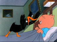 Daffy Duck Slept Here