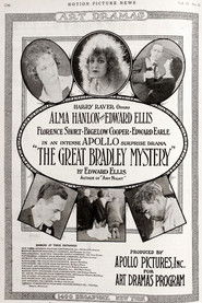 The Great Bradley Mystery (1917)