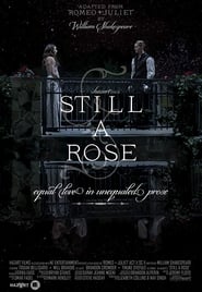 Still a Rose постер