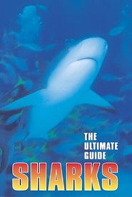 The Ultimate Guide: Sharks