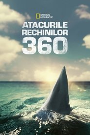 When Sharks Attack 360