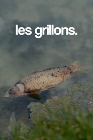 les grillons. 2025 Бесплатан неограничен приступ