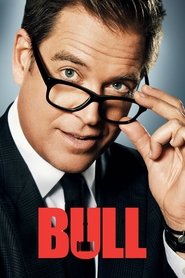 Bull (2016)