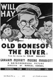 Poster Old Bones of the River