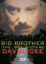 Poster Big Brother: The Big Picture 2008