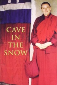Poster Cave in the Snow 2002