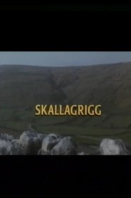 Poster Skallagrigg 1994