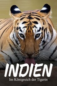 Maya, la tigresse du Maharashtra (2020)