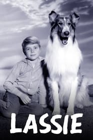 Lassie poster