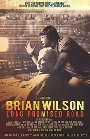 Brian Wilson: Long Promised Road постер