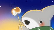 Episode 84