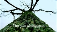 The Pie Whisperer