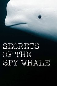 Poster Secrets of the Spy Whale 2024