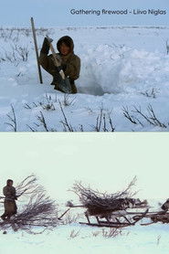 Gathering Firewood (2024)