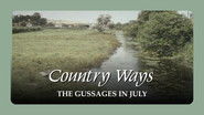 The Gussages in July