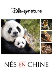 Nacidos en China