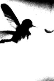 Poster Xarussell 2017